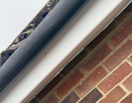 29ef960d-a523-4e12-9b20-03c2028af429